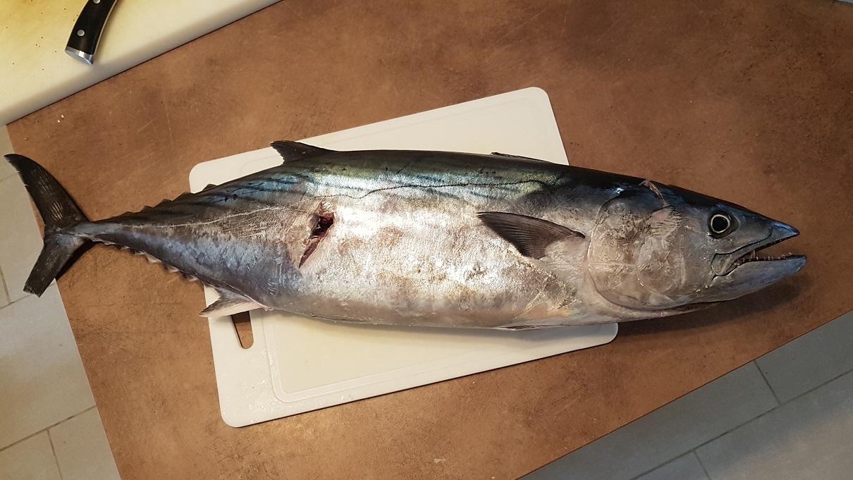 pela4kg.jpg