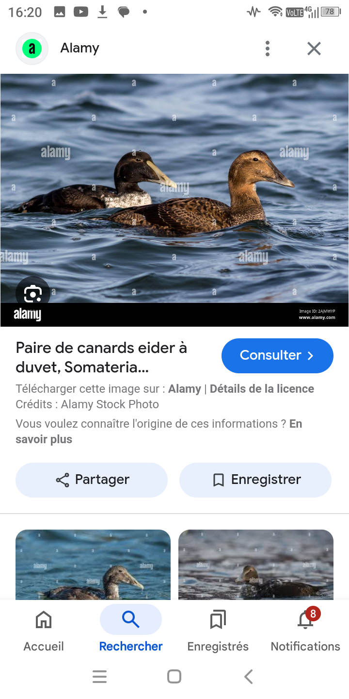 Screenshot_20241124-162035.png