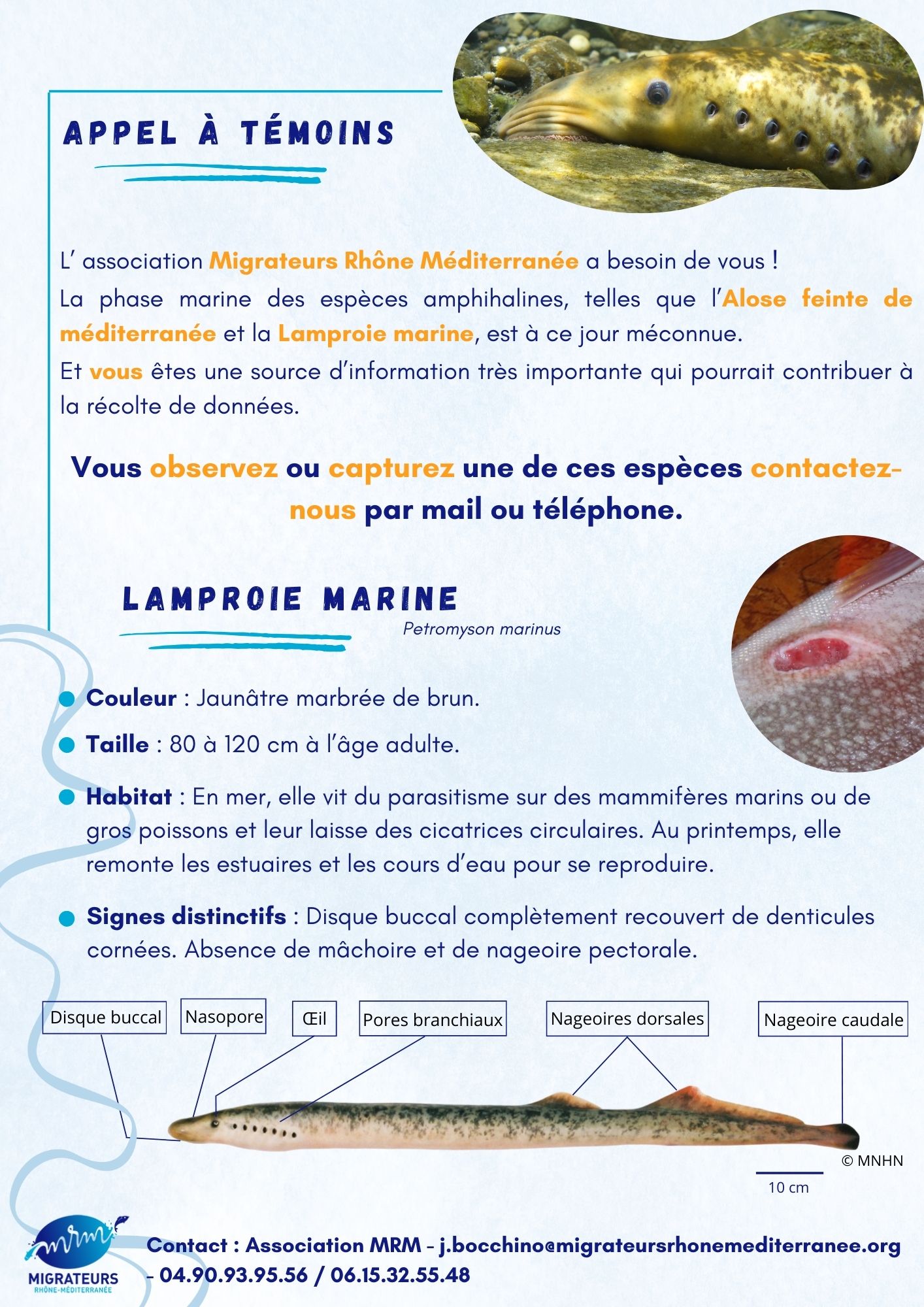 A5 prospectus Pêcheurs.jpg