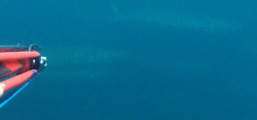 Capture.PNGBARRA du 11.05.25.PNG