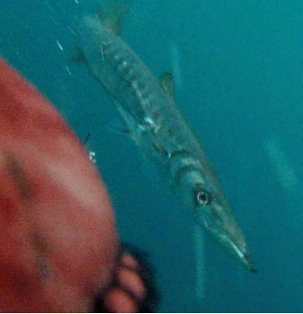 Capture.PNGBARRA miramar.PNG