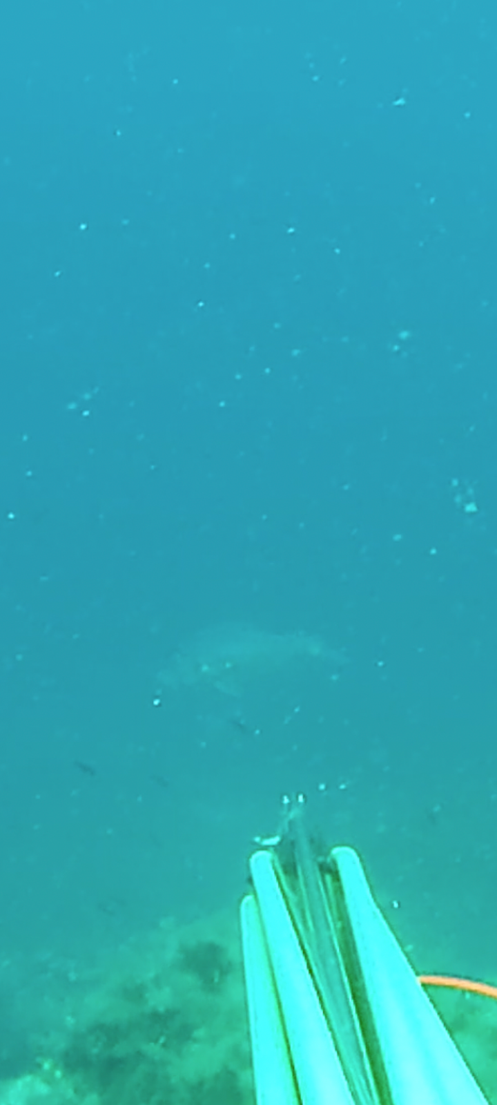 Screenshot_20250902-111019.png