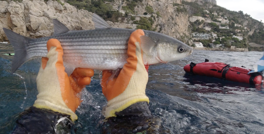 Capture d’écran 2025-10-27 à 17.10.34.png