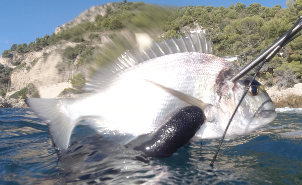 Capture d’écran 2025-10-28 à 15.10.35.png