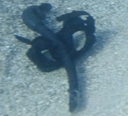 Capture d’écran 2025-10-28 à 15.20.01.png