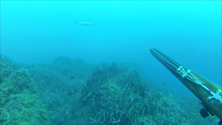 Snapshot 2 (09-11-2025 09-56).png