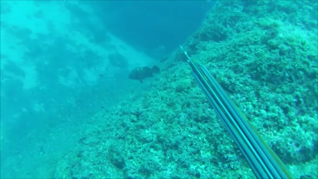 Snapshot 1 (09-11-2025 09-52).png