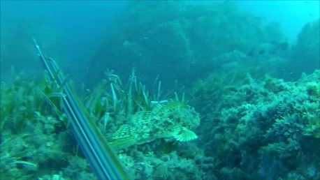 Snapshot 3 (09-11-2025 10-08).png