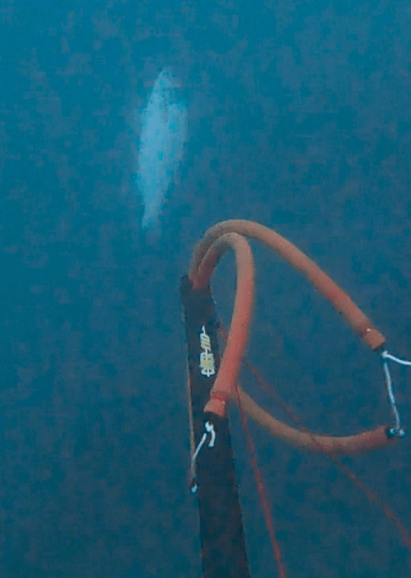 Capture d’écran 2025-11-24 à 08.47.10.png