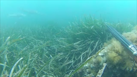 Snapshot 1 (28-05-2026 15-07).png