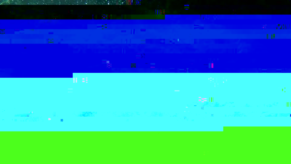 IMG_80811133216194.jpeg