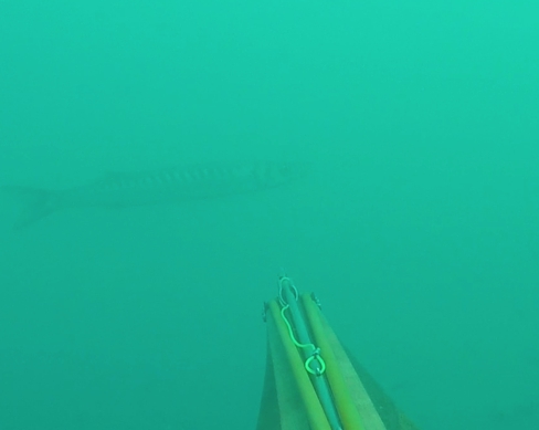 Capture d’écran 2016-03-14 à 20.47.05.jpg