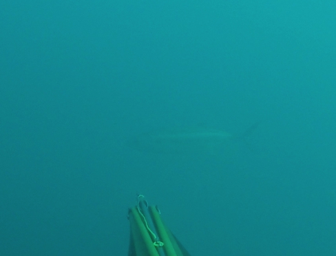 Capture d’écran 2016-04-16 à 22.38.41.jpg