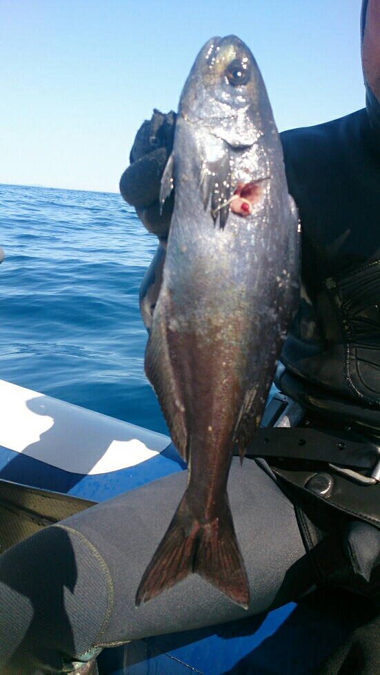 poisson.jpg