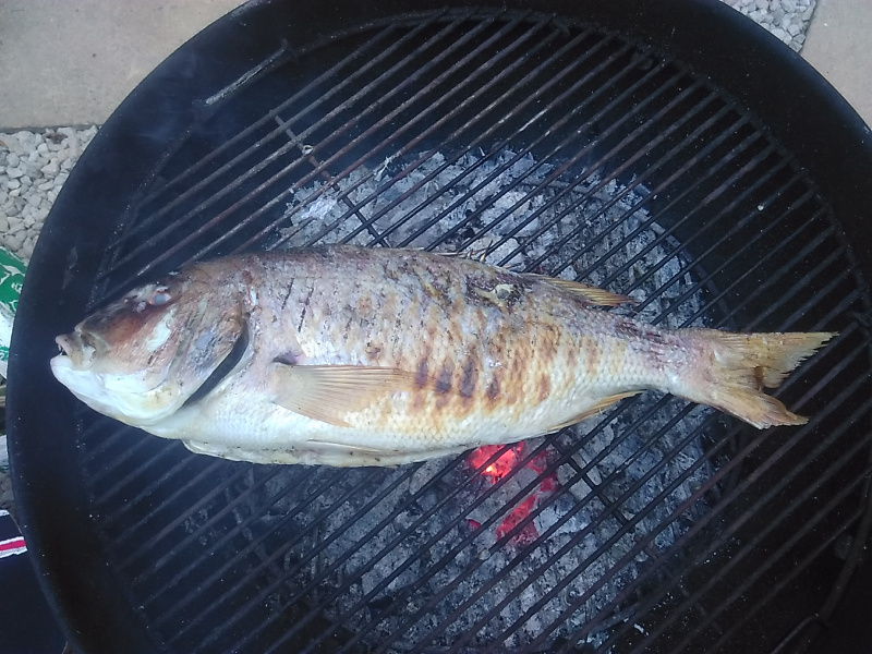 Denti-Sargh-BBQ.jpg