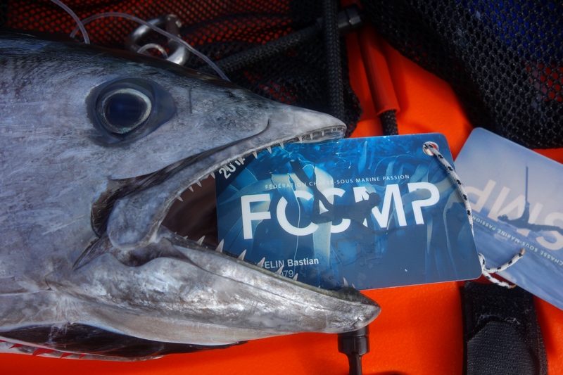 poissonfcsmp.JPG