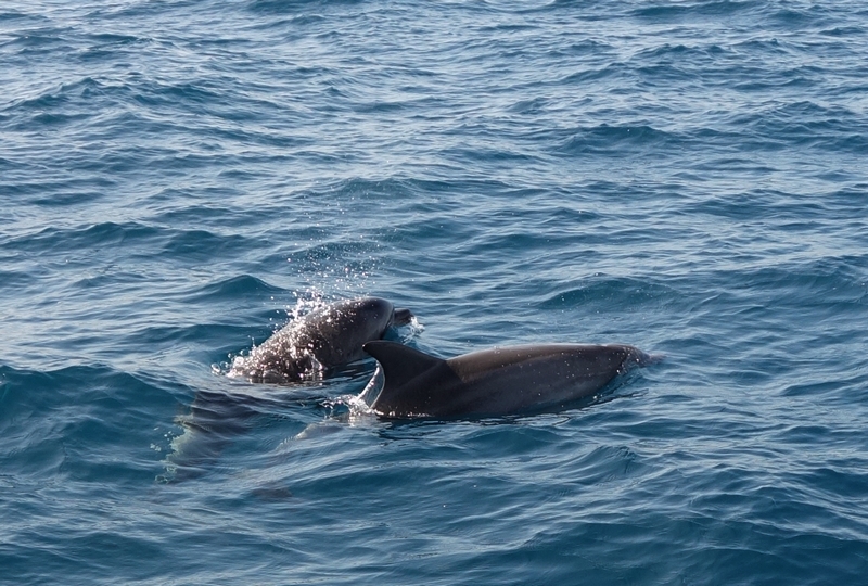 marineland.jpg