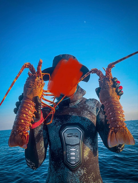 langoustes_du_soir.jpg