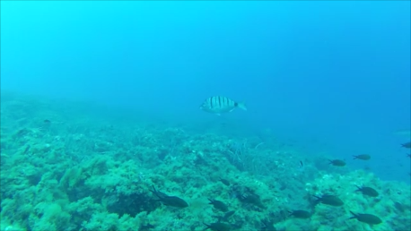 Snapshot 1 (22-09-2025 21-09).png