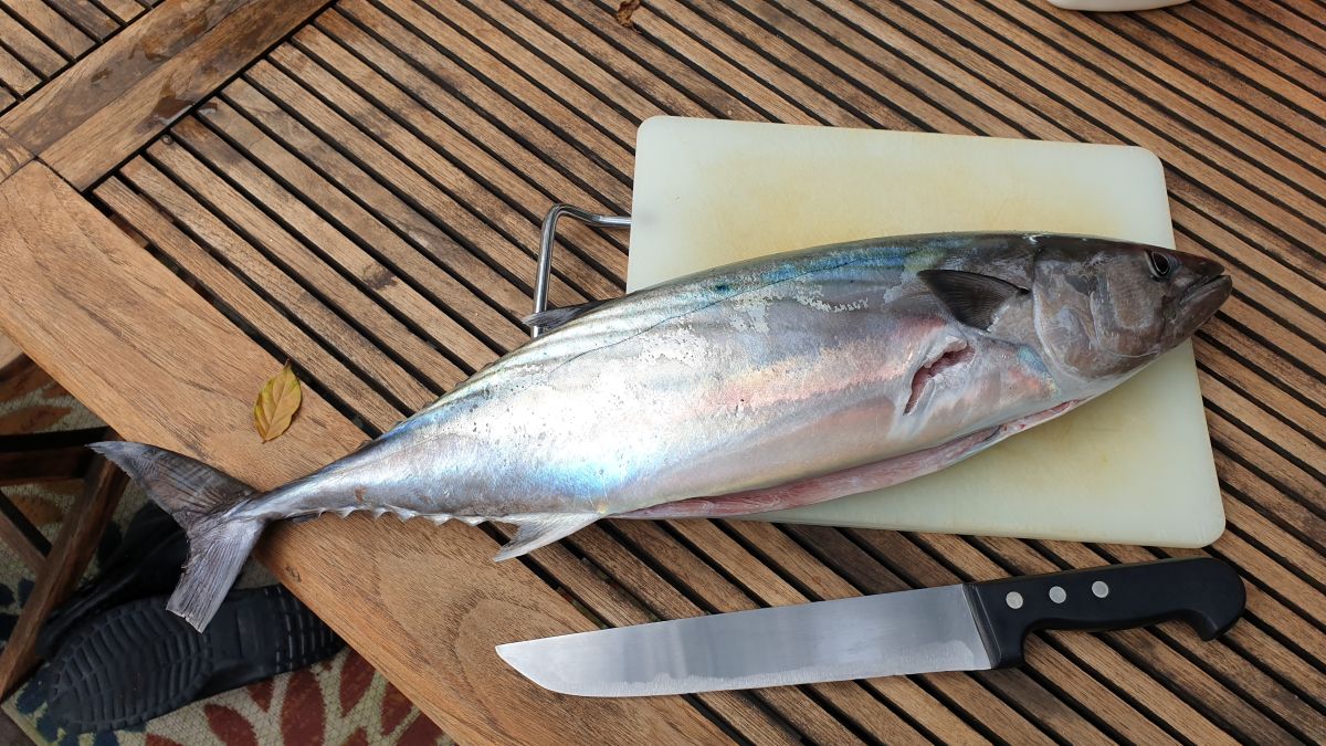 20251220_131316 (2).jpg