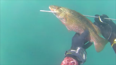 Snapshot 1 (08-04-2026 18-21).png