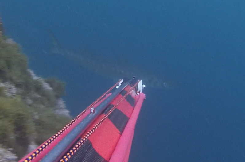 Capture d’écran 2026-04-11 105849BARRA du 11.04.26.png