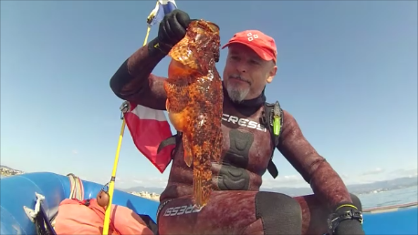 Snapshot 1 (14-04-2026 17-09).png