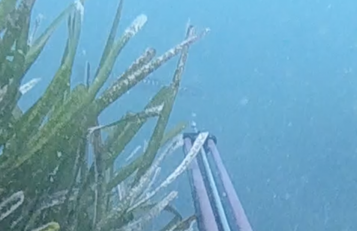 Capture d’écran 2026-04-15 à 12.47.55.png