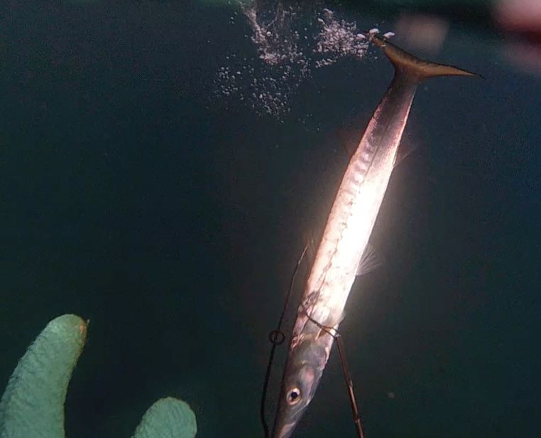 Capture d’écran 2026-04-15 à 12.50.35.png