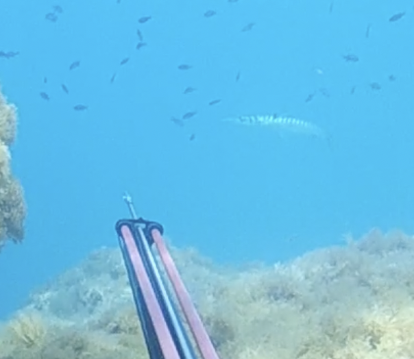 Capture d’écran 2026-04-16 à 22.03.37.png