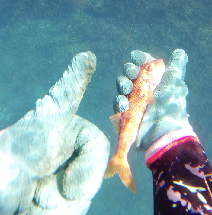 Capture d’écran 2026-04-17 à 17.20.42.png