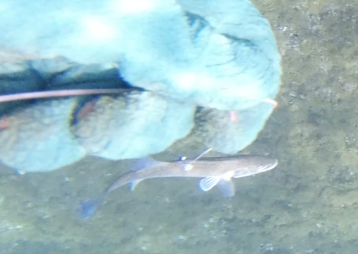 Capture d’écran 2026-04-17 à 17.22.19.png