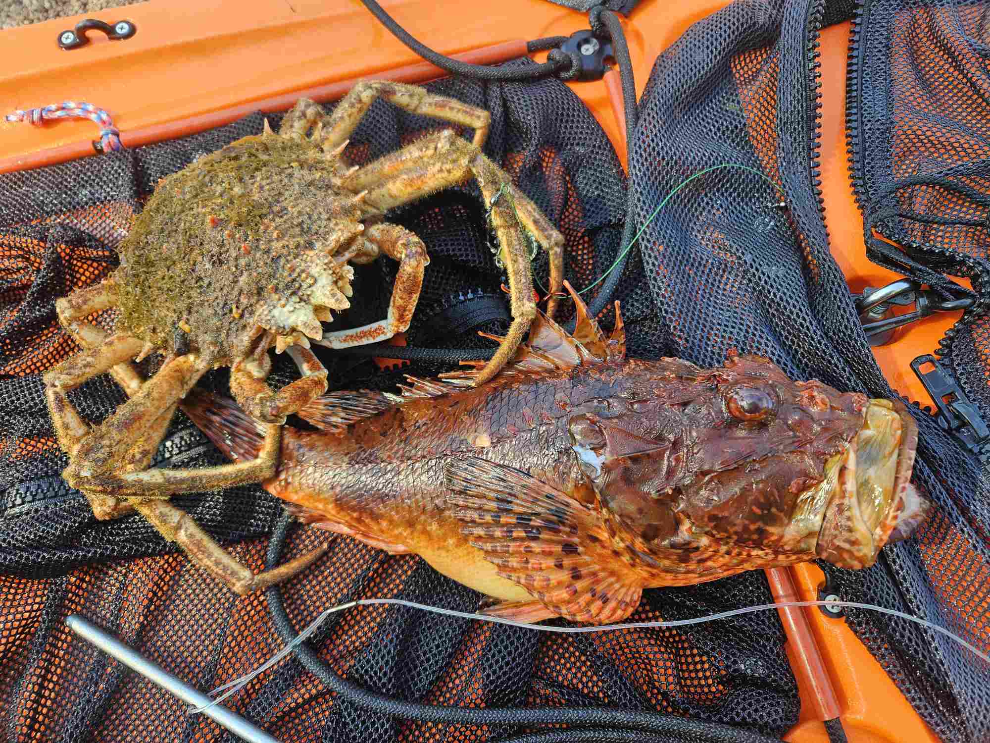 20260424_104814 (3).jpeg