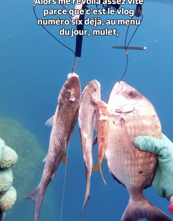 Capture d’écran 2026-04-29 à 12.14.46.png