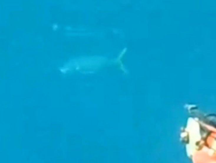 Capture d'écran 2026-08-31 173512.png