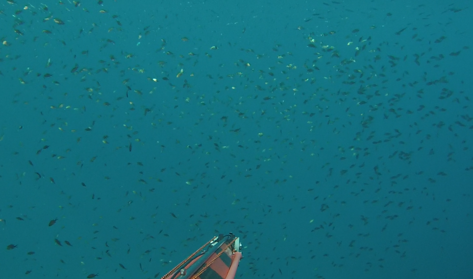 Capture d'écran 2026-09-20 153117.png