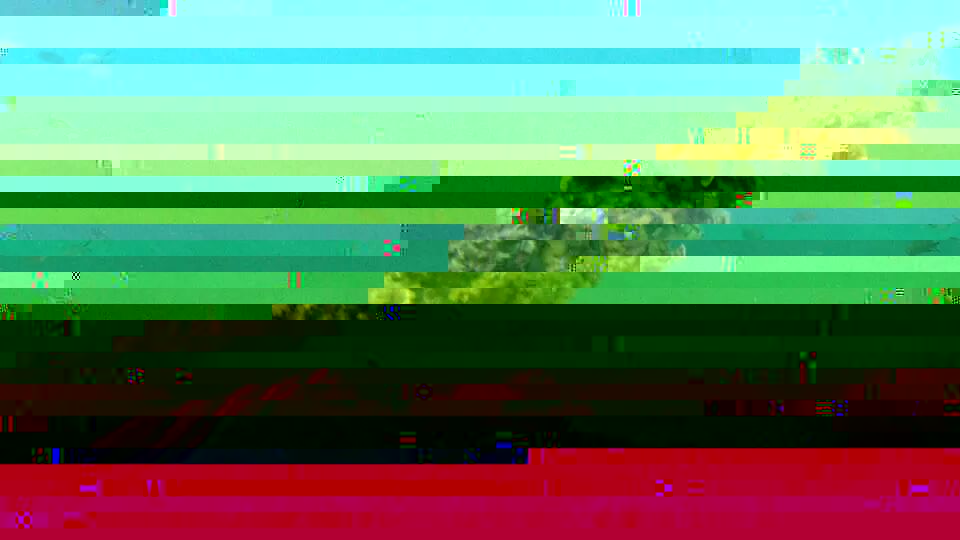 IMG_17166707896936.jpeg