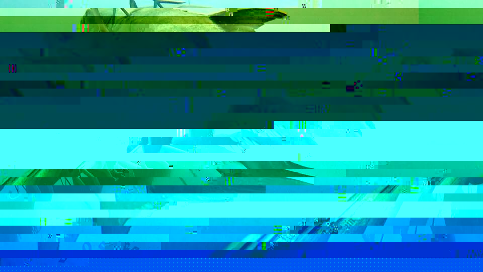 IMG_115883901937983.jpeg