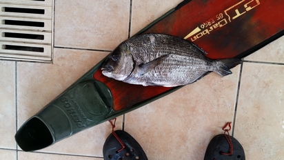20150926_100330.jpg