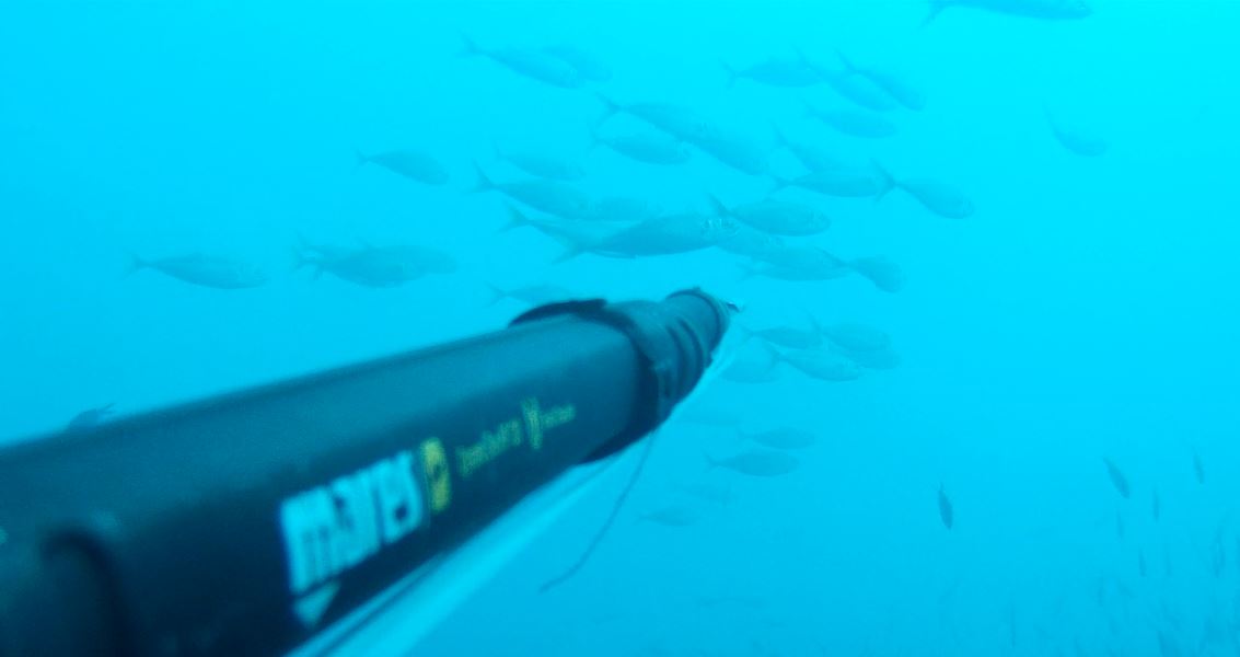 séveraux pour décharger.JPG