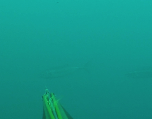 Capture d’écran 2016-04-09 à 11.12.29.jpg