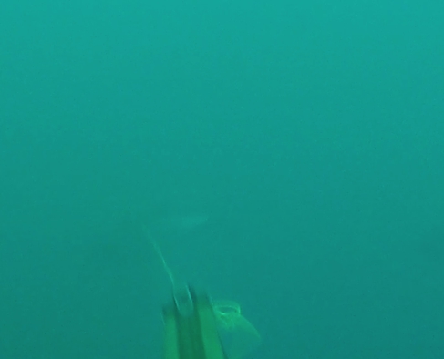 Capture d’écran 2016-04-09 à 11.12.58.jpg