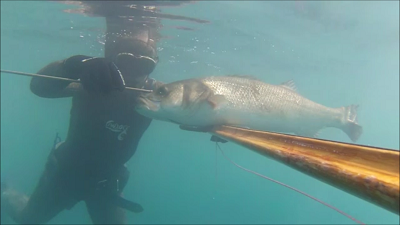 Snapshot 1 (02-06-2016 15-30).png