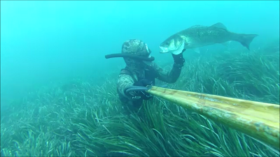 Snapshot 3 (02-06-2016 15-35).png