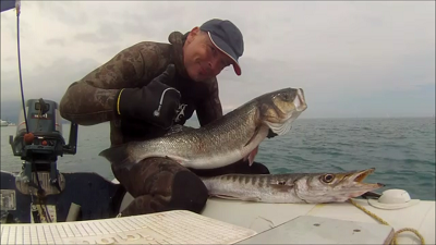 Snapshot 6 (02-06-2016 15-42).png