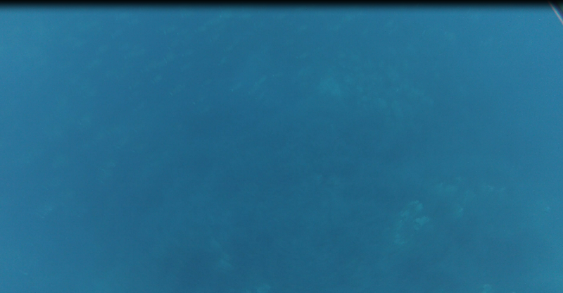 Capture sar.PNG