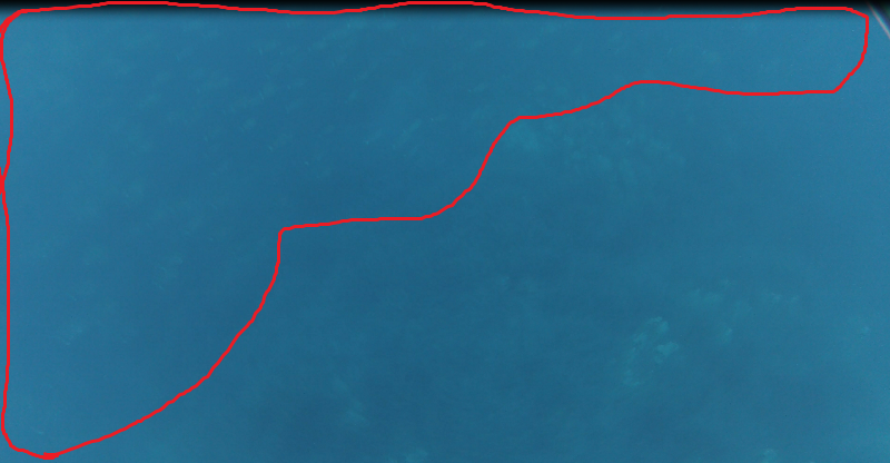 Capture sar.PNG