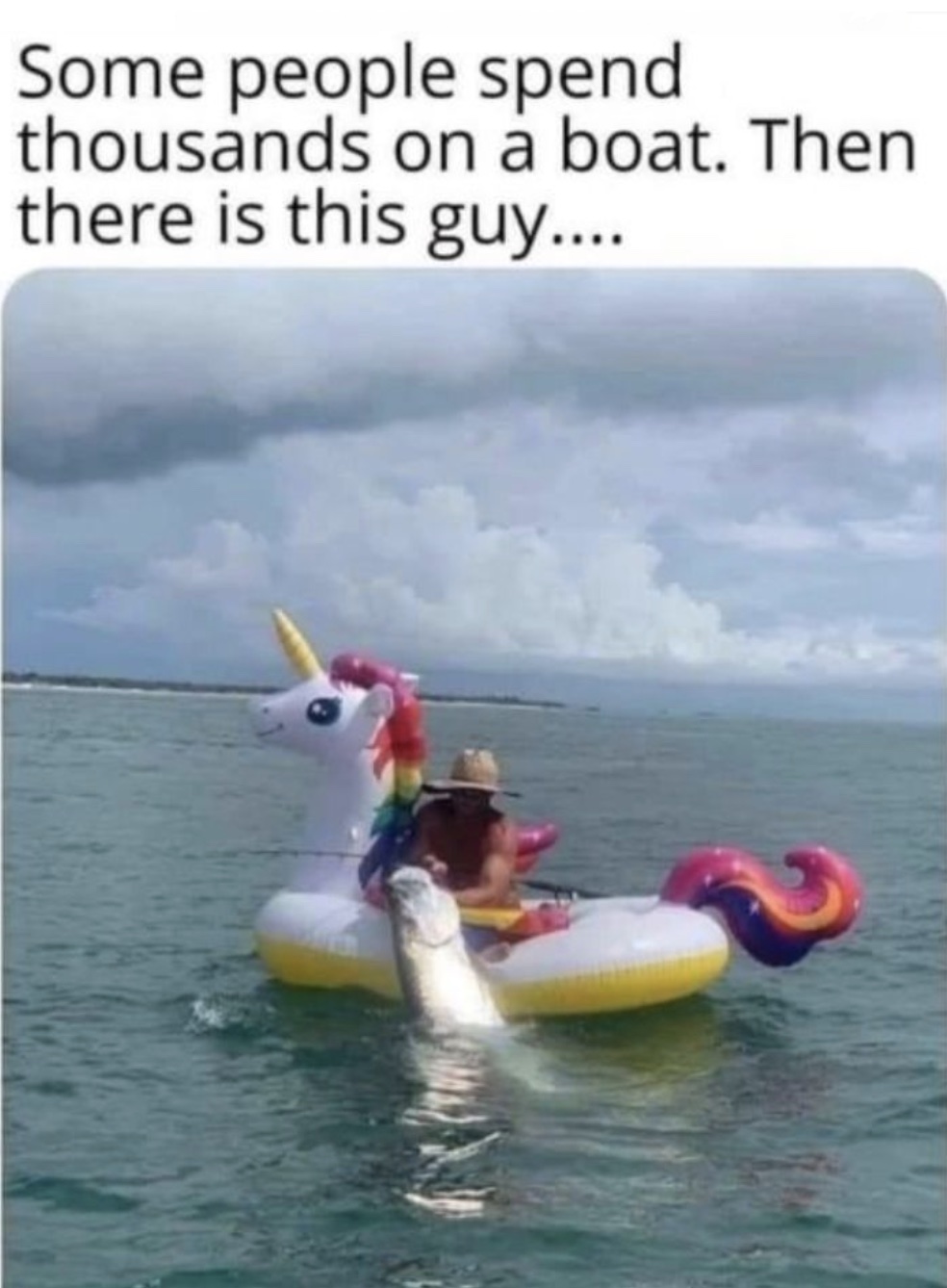 Licorne.jpg